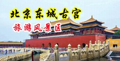 性爱艹逼视频中国北京-东城古宫旅游风景区